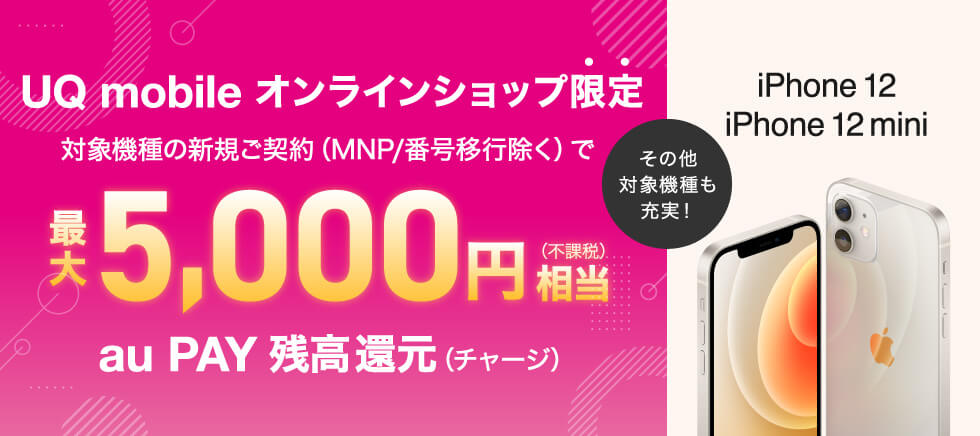 対象機種+新規ご契約でau PAY 残高最大5,000円相当還元