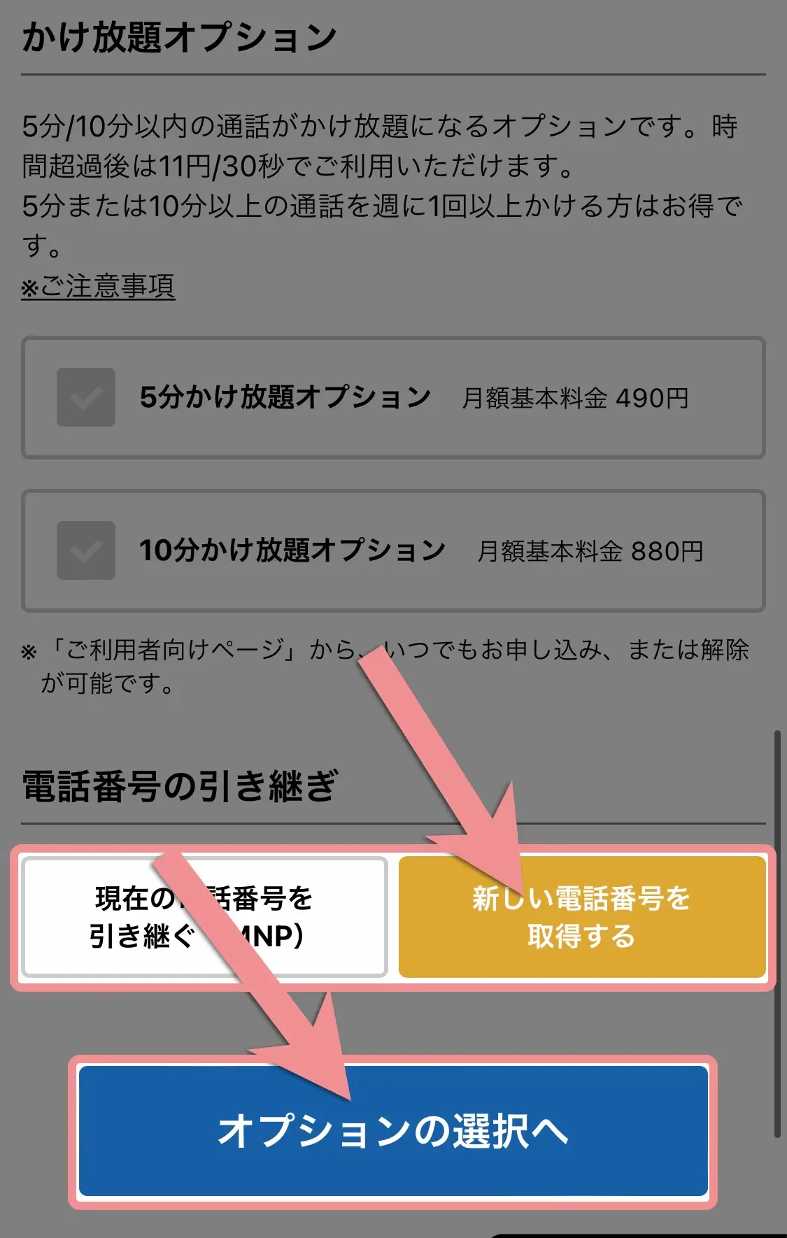 乗り換えか新規契約かを選んで「オプションの選択へ」をタップ